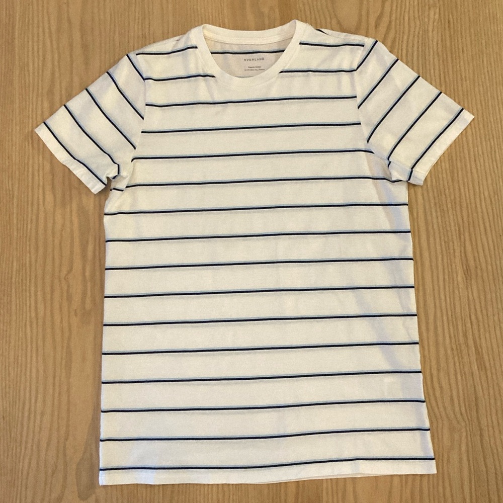 Everlane White and Blue Striped Short Sleeve Tee